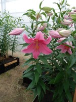 [4228 Mansfield No201.JPG]